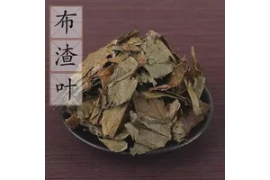 Buza Leaf Bu Zha Ye Dried Herb for Detoxification Swelling Reduction Joint Health