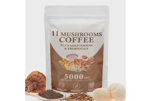 11 Mushroom Coffee Powder with Energy Boosting Properties Plant Extract Supplement