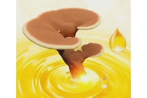 Organic Ganoderma Lucidum Spore Oil 20% Triterpenes Reishi Mushroom Healthcare Supplement